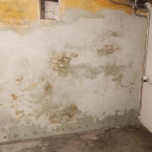 optrekkend-vocht-before